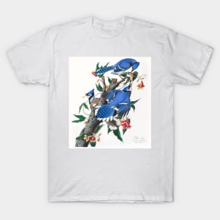 Blue Jay from Birds of America (1827) T-Shirt